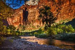Zion, Fall color-4639 Zion, Fall color-4639